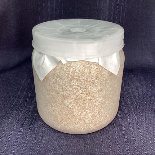 菌糸ボトル作成セット Amazon | 【2個セット】MYCELIUM 菌糸ビン1400cc オオヒラタケ菌